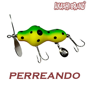 ǰ̹